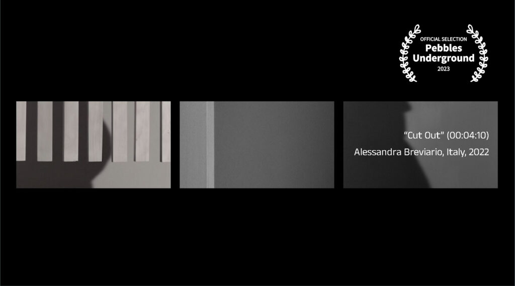 “Cut Out” (00:04:10) by Alessandra Breviario, Italy, 2022