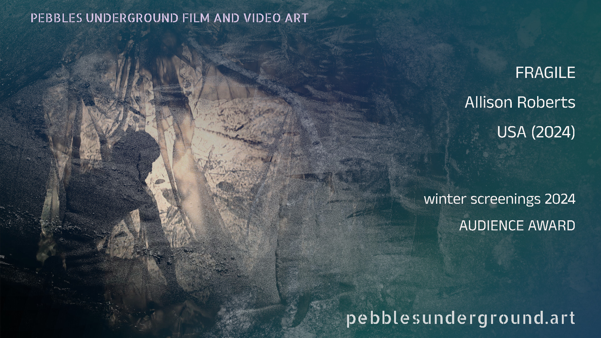 FRAGILE by Allison Roberts