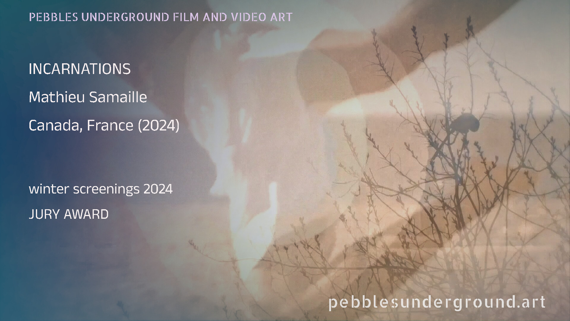 INCARNATIONS by Mathieu Samaille