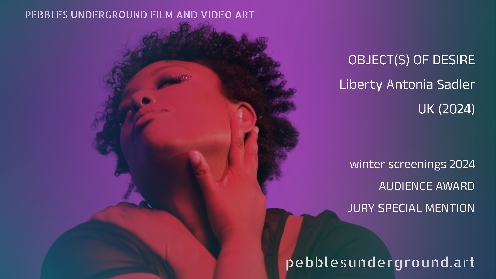 OBJECT(S) OF DESIRE by Liberty Antonia Sadler