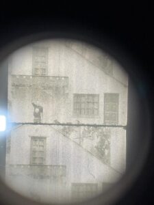 BIPOLAR by PARAFUZO | Uruguay | 2025