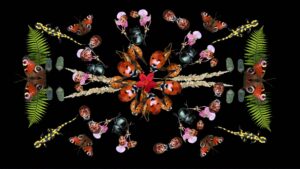 IF WE COULD TALK by Vera Leisibach | Germany, Switzerland | 2025