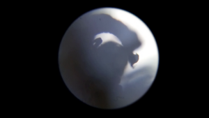 SKOPEÎN by Julia Herold | Germany | 2017