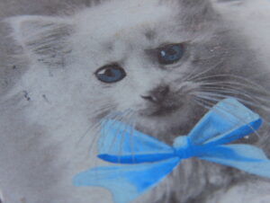 THE KITTENS' TEA PARTY by MilleFeuille | USA, Canada | 2022