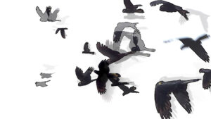 WHY-EEELA by Ian Gibbins | Australia | 2025